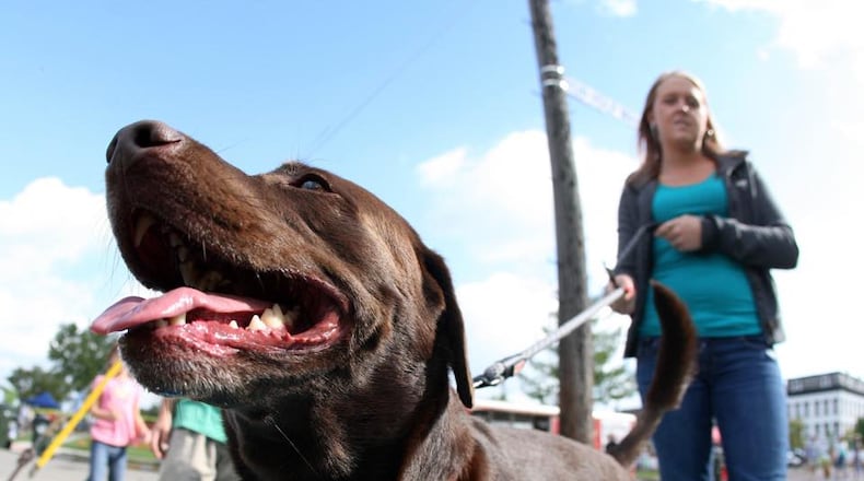 Bark in the Burg at Community Park in Miamisburg is scheduled for 9 a.m. Saturday. FILE
