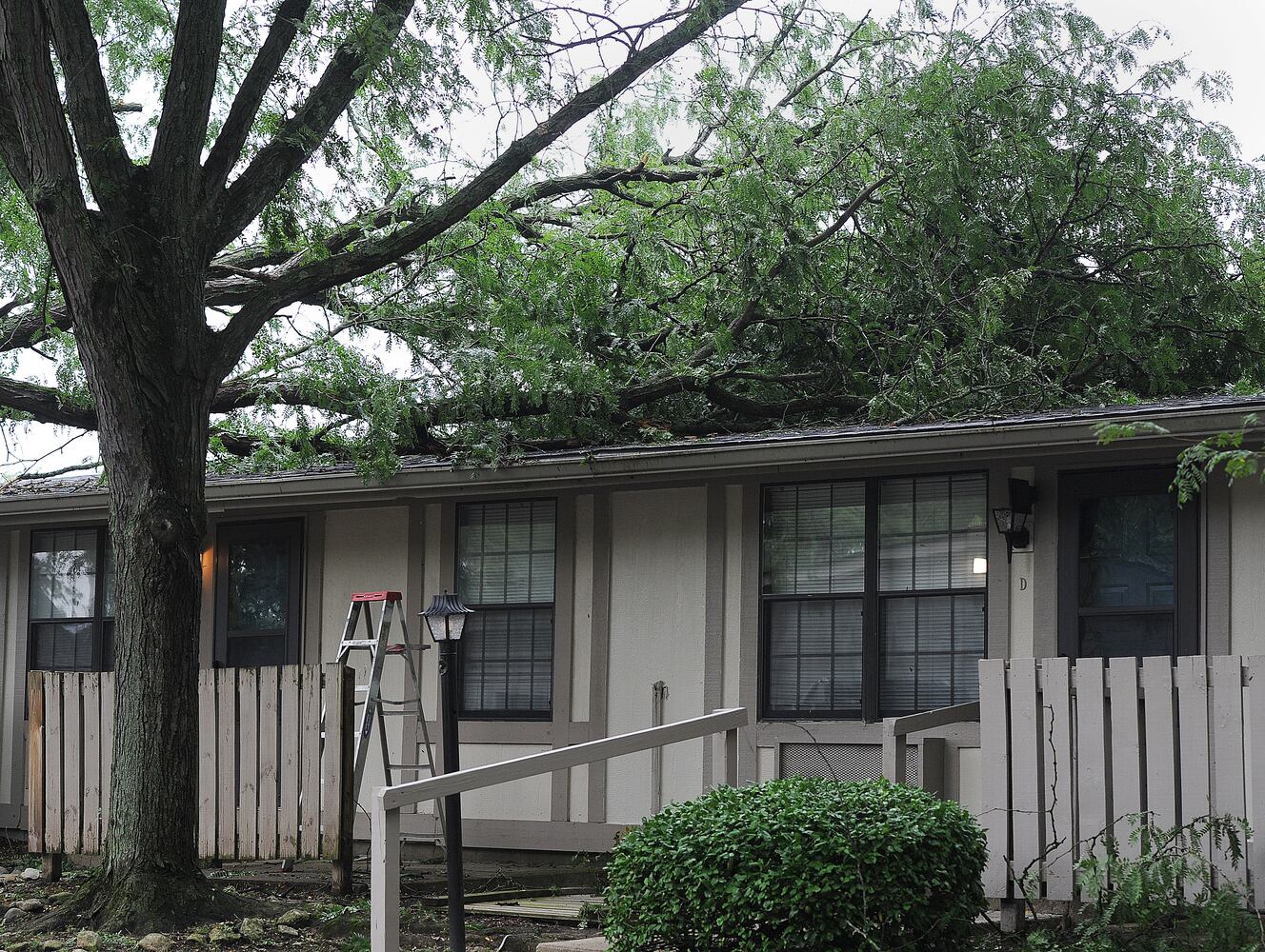 Storm damage