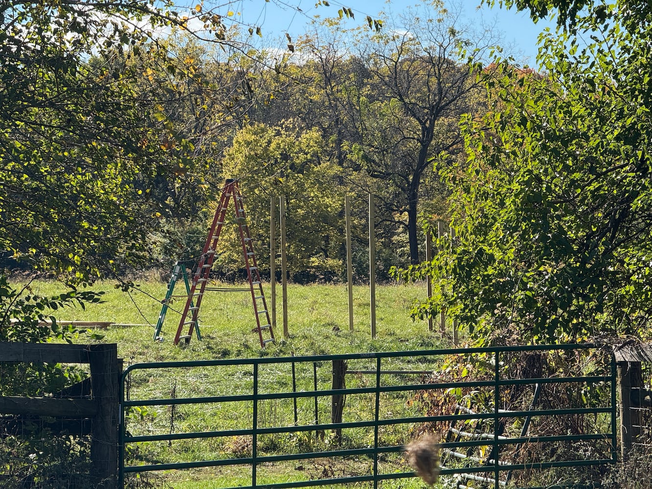 Aullwood Audubon Construction