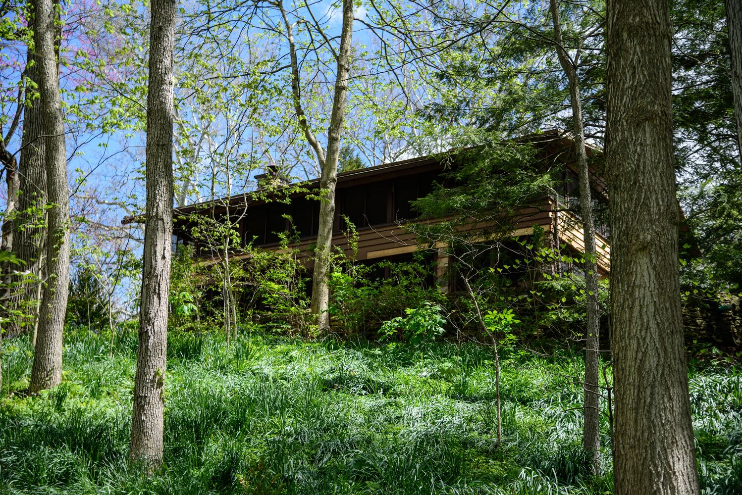 PHOTOS: Gorgeous Aullwood Garden is in full bloom
