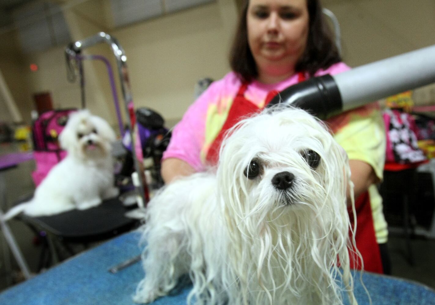 News hounds (8/21/2014)