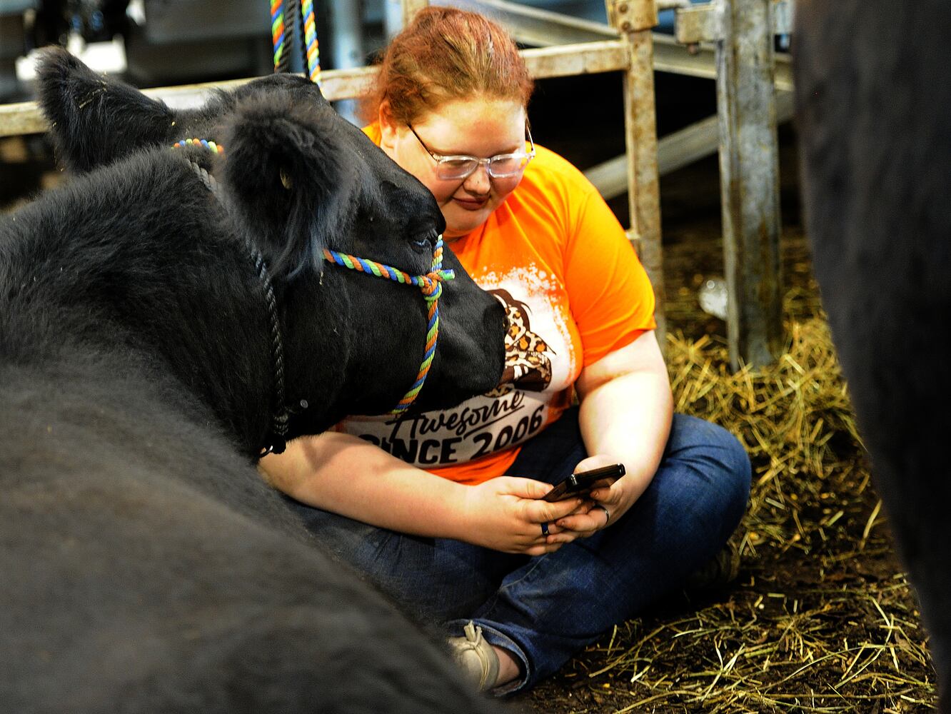 Greene County Fair