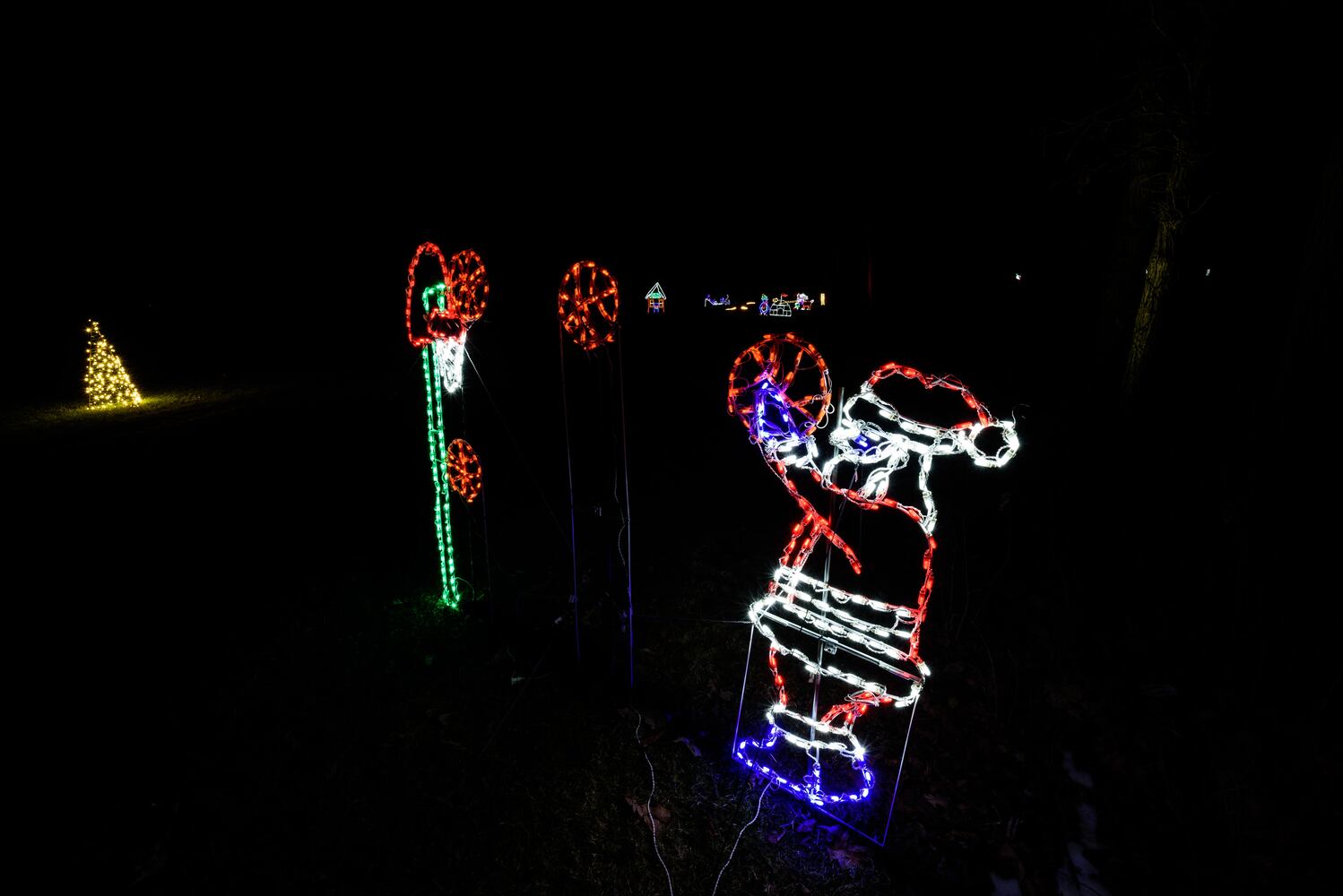 PHOTOS: Holiday Lights dazzle at Lost Creek Reserve in Troy