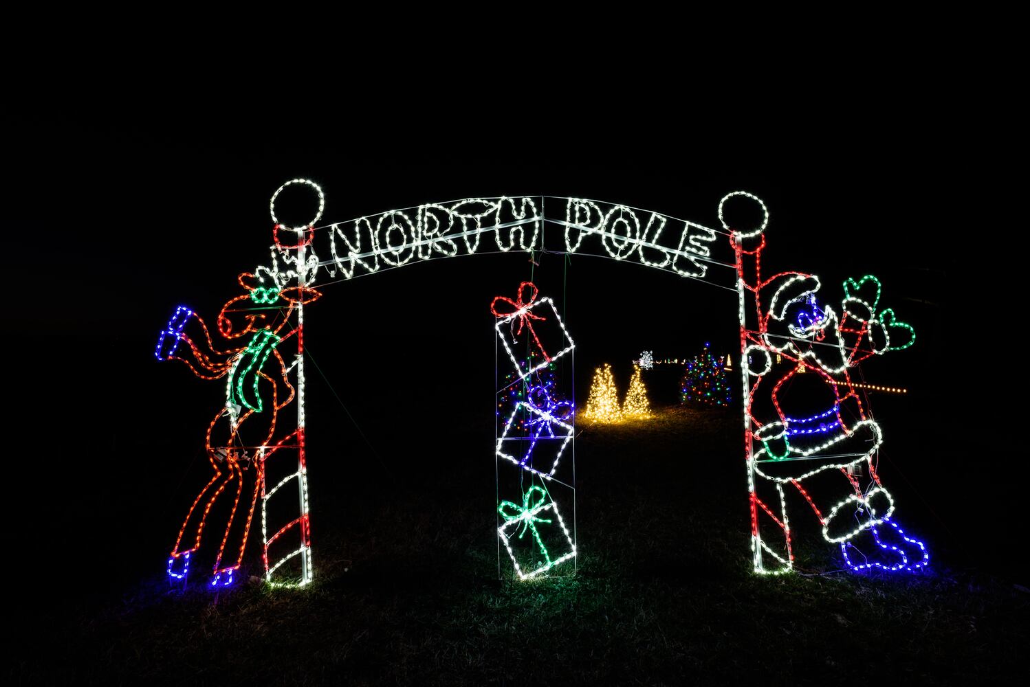 PHOTOS: Holiday Lights dazzle at Lost Creek Reserve in Troy