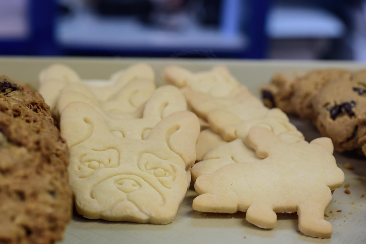 PHOTOS: 5 Frenchies Old North Dayton Bakery Grand Opening