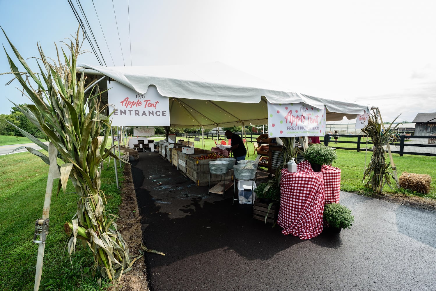 Hidden Valley Orchards