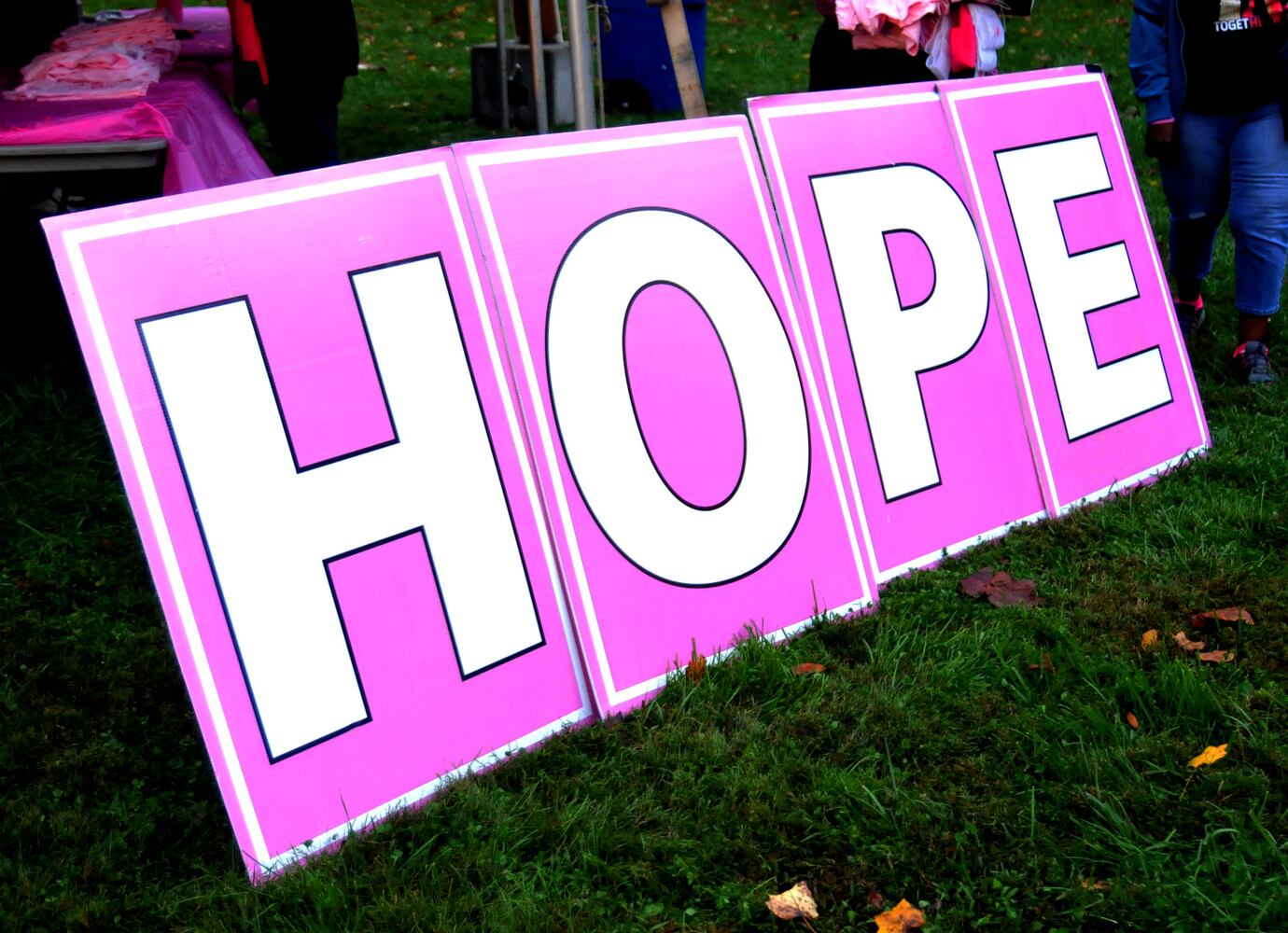 PHOTOS: Making Strides Against Breast Cancer walk in Dayton