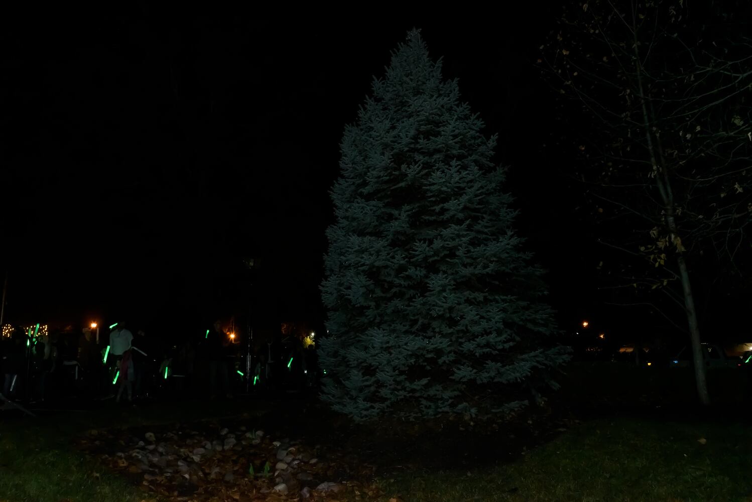 PHOTOS: Did we spot you at the Centerville Mayor's Tree Lighting at Benham's Grove?
