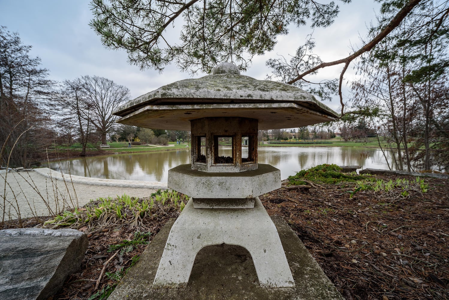 PHOTOS: Take a walk through beautiful Cox Arboretum this spring