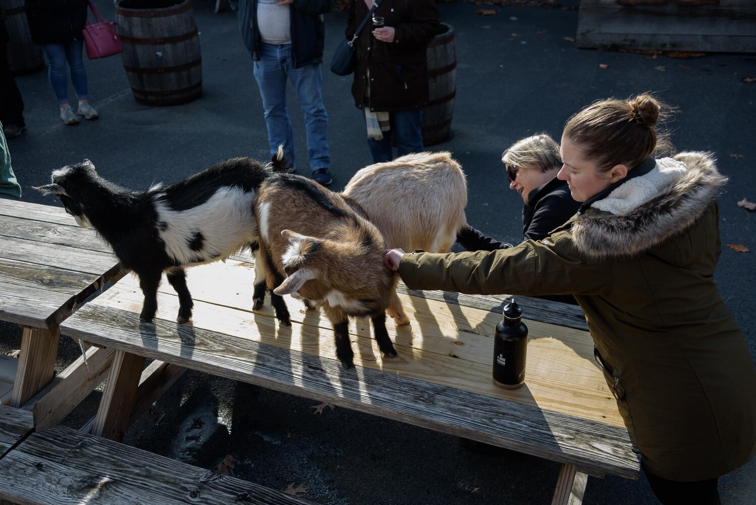 PHOTOS: Did we spot you frolicking with the cutest kids at Dayton Beer Company’s GoatFest?