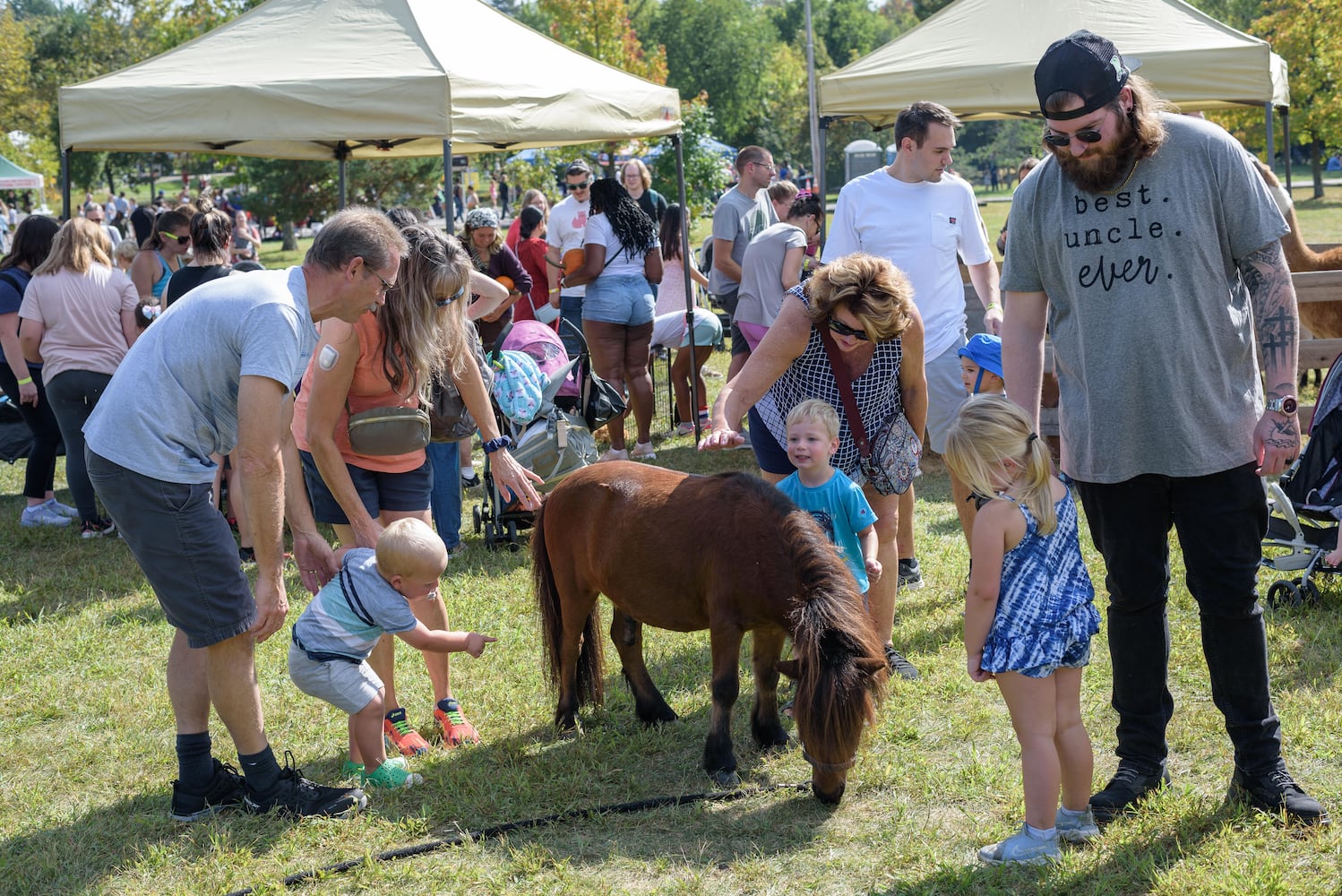 PHOTOS: Did we spot you at the Centerville Fall Fest at Stubbs Park?
