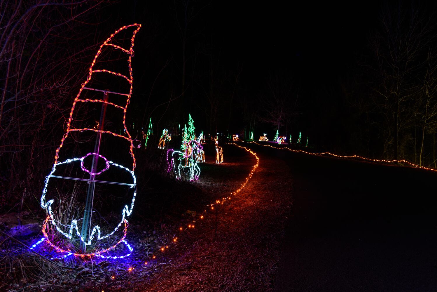 PHOTOS: ParkLights at Caesar Ford Park