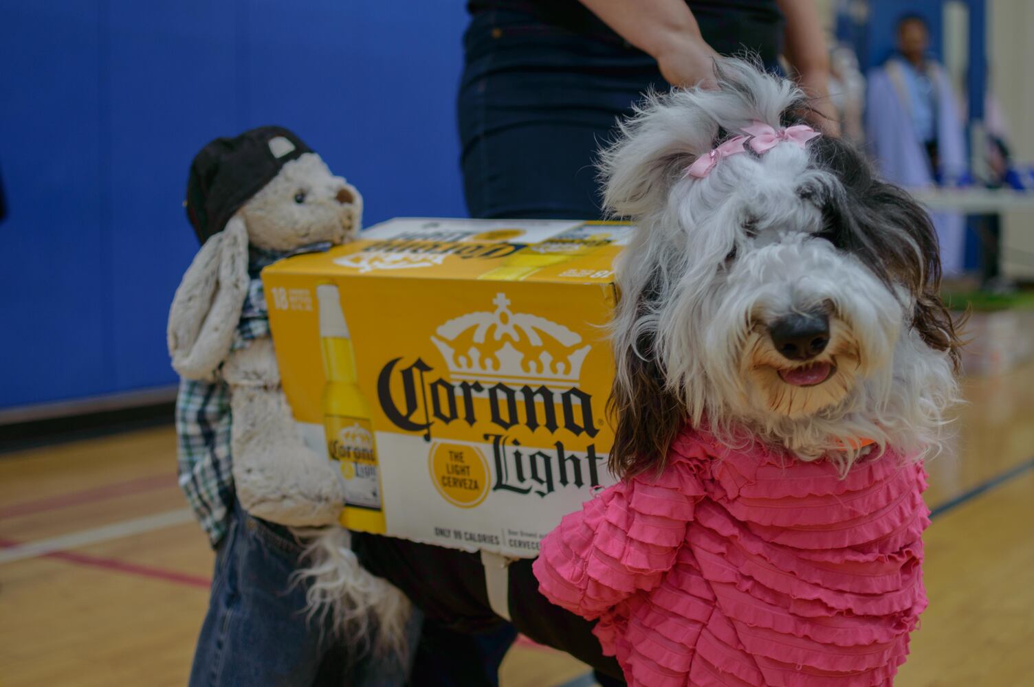 PHOTOS: Fairborn Halloween Festival 2017