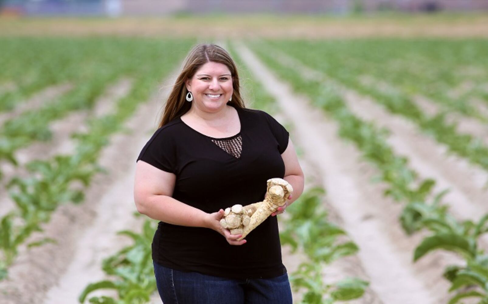 Horseradish: A big root with a bold kick