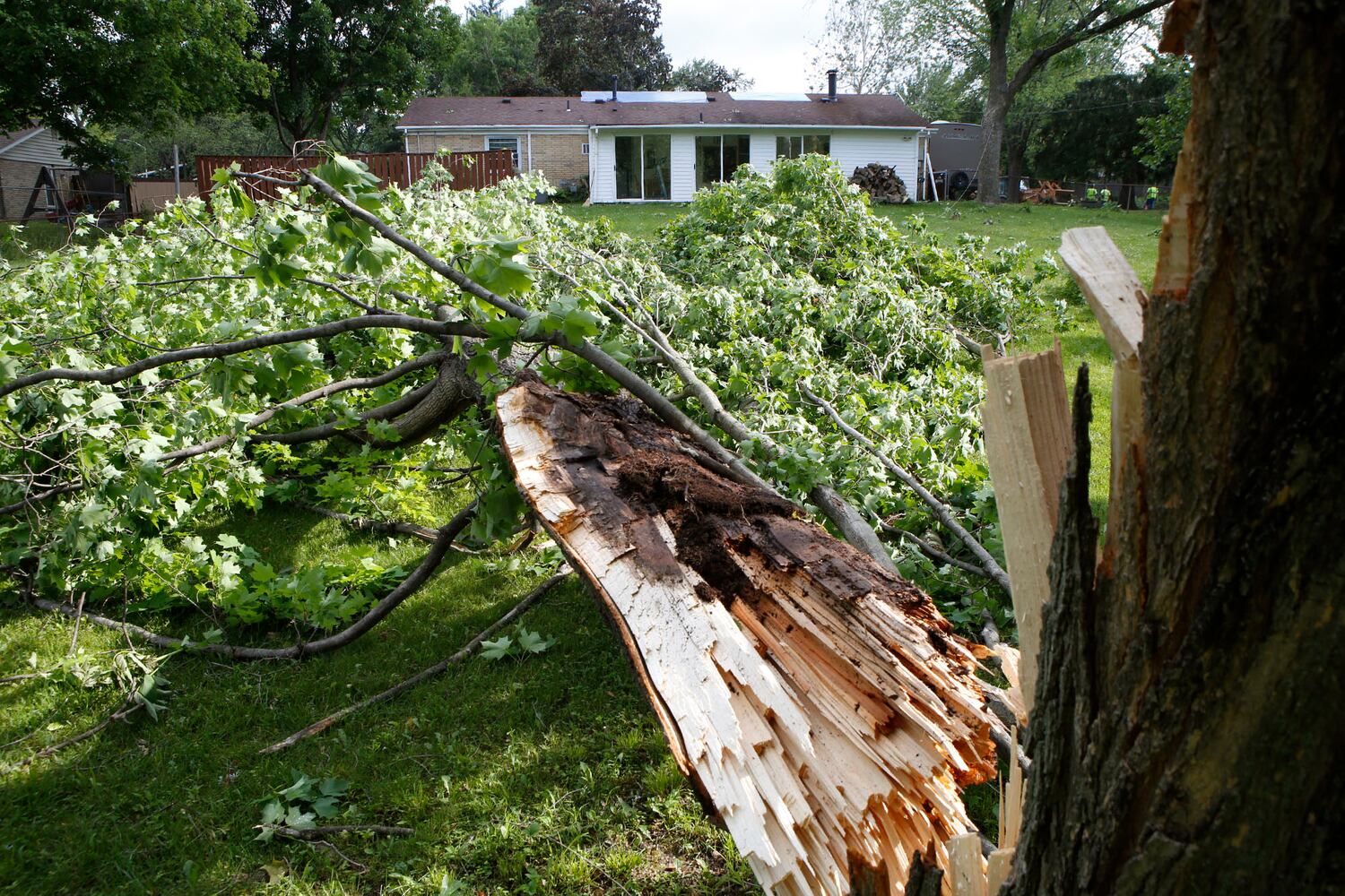 Tornado Damage Clean Up