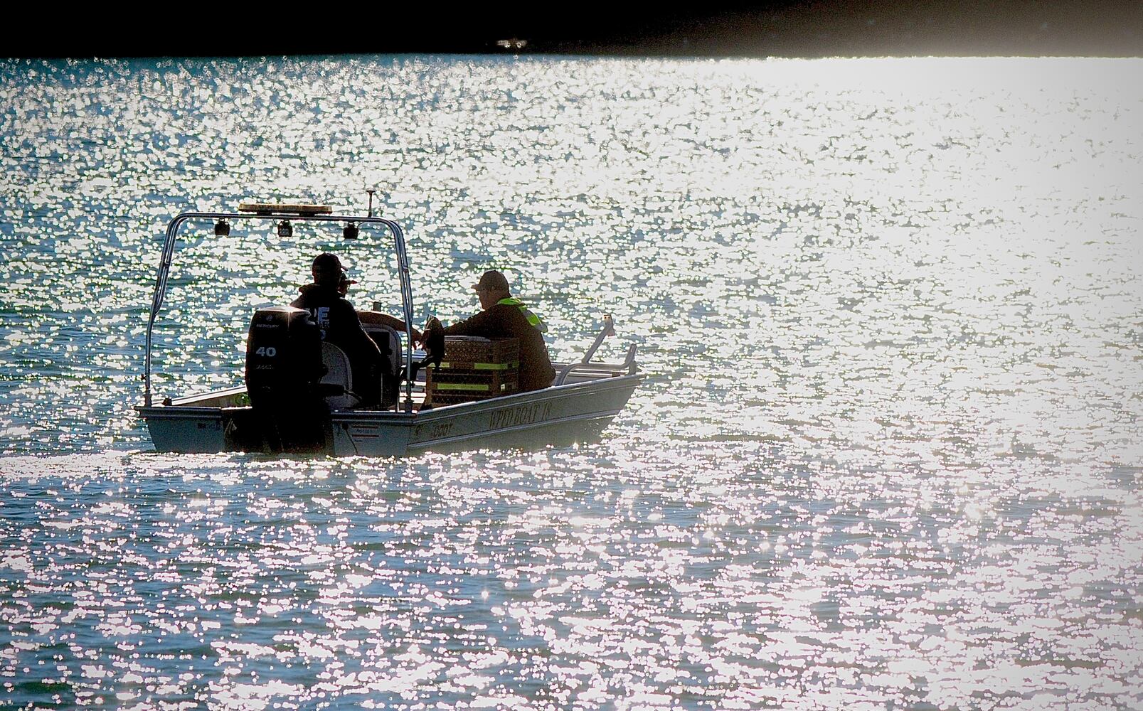 Searching for swimmer