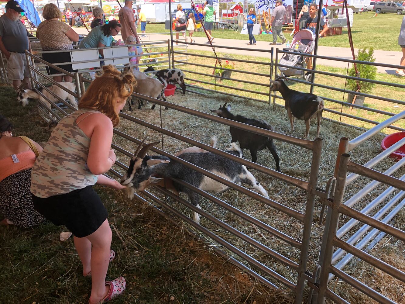 Scenes from the Montgomery County Fair