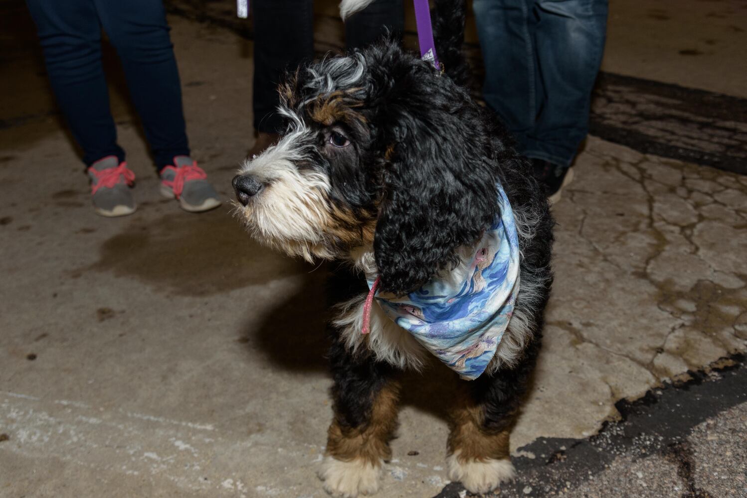 PHOTOS: Did we spot you at Frozen the 13th in downtown Fairborn?