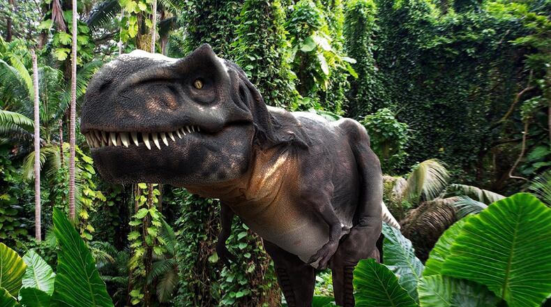 “Operation: Dinosaur” will spotlight the science of paleontology at the National Museum of the U.S. Air Force June 12 from 4 to 7 p.m. CONTRIBUTED PHOTO