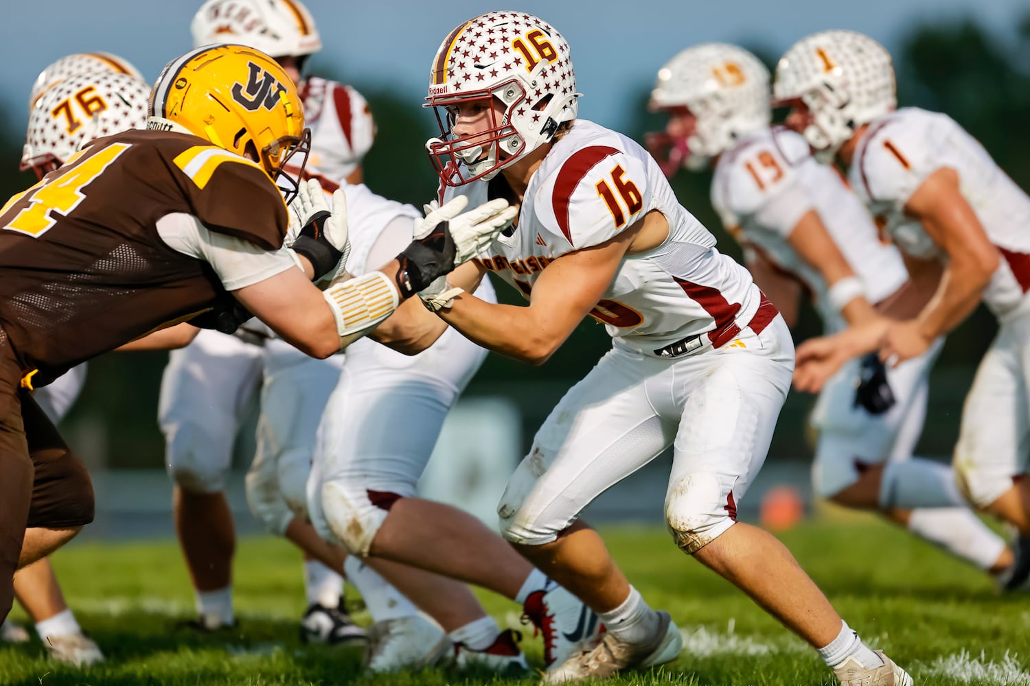 nefb hsfb