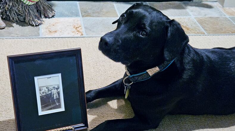 Teddy, a labrador retriever, sits next to the photo of Karin Spicer's dad, his brothers, and his dog, Teddy. CONTRIBUTED