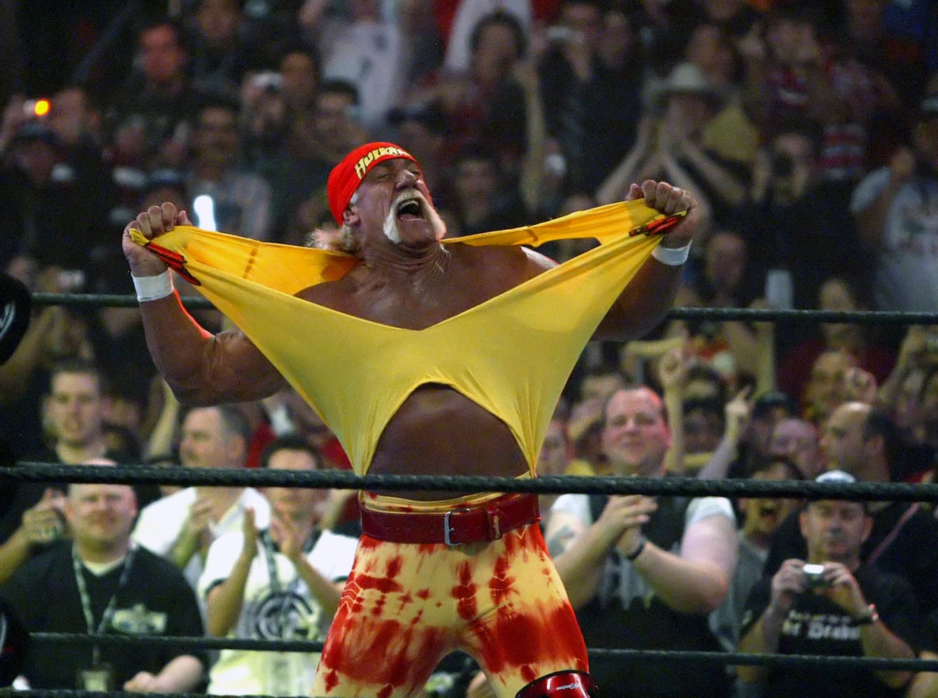 Wrestlemania The Spectacle