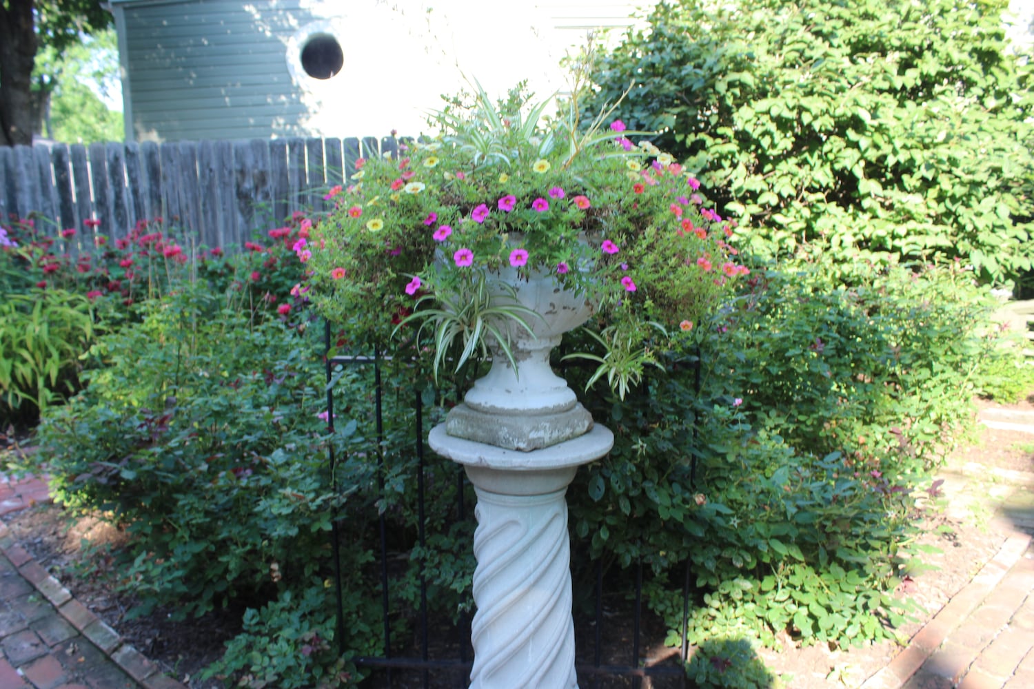 Tobin Denney's spectacular, not so secret St. Anne's garden