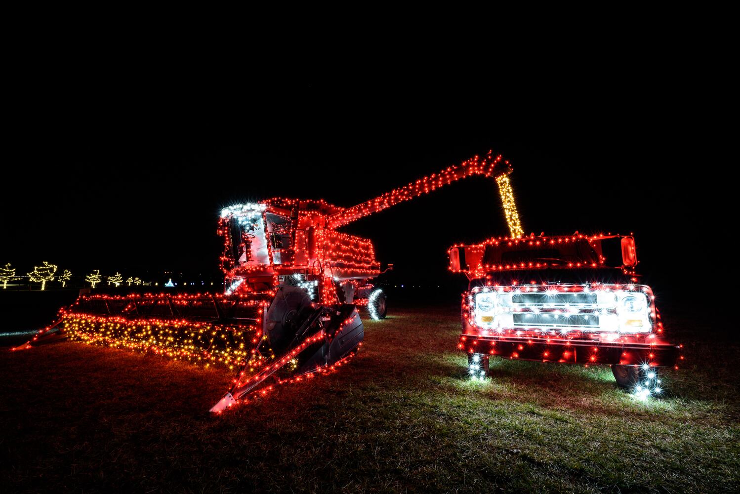 PHOTOS: Holiday Lights dazzle at Lost Creek Reserve in Troy