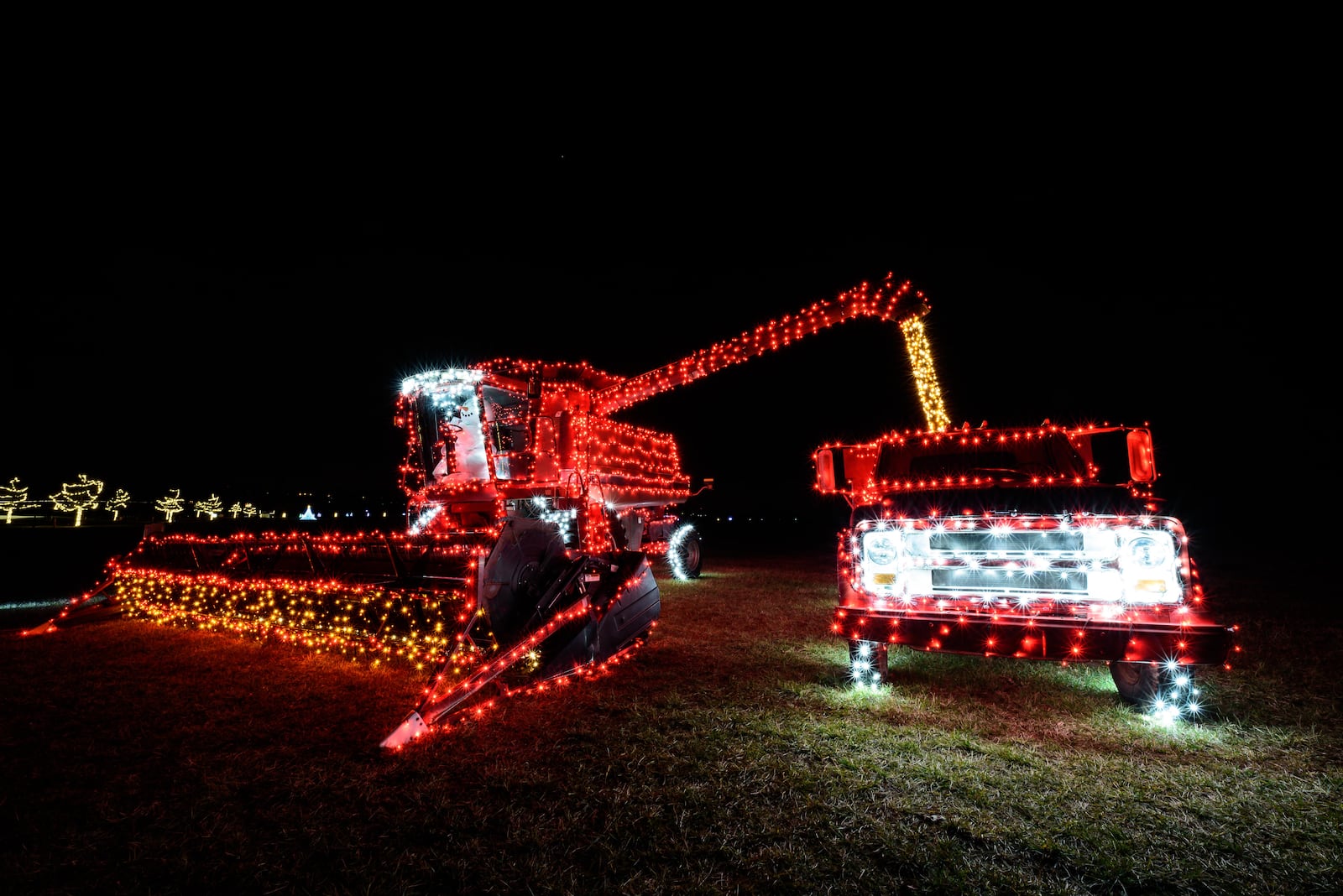 Holiday Lights at Lost Creek Reserve in Troy. TOM GILLIAM / CONTRIBUTING PHOTOGRAPHER