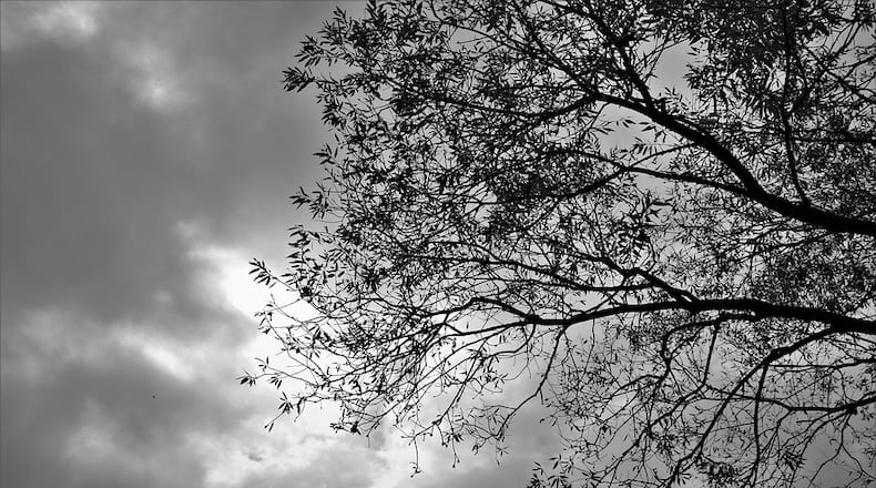 Cold and windy Tuesday