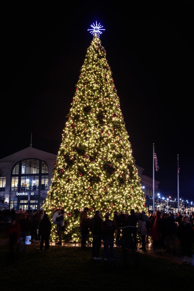 PHOTOS: Did we spot you at The Greene’s Christmas tree lighting?