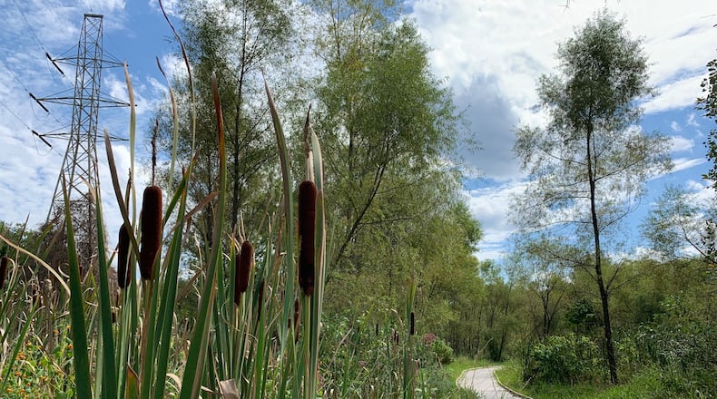 The third section of the Spotted Turtle Trail, which will give the public access to Ohio’s rarely seen wetlands, has opened to the public in Beavercreek Township. LONDON BISHOP/STAFF
