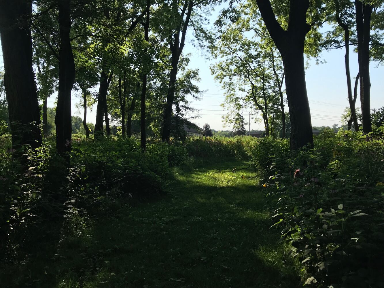 PHOTOS: This hidden park on the side of the road might be one of Dayton’s most peaceful spots