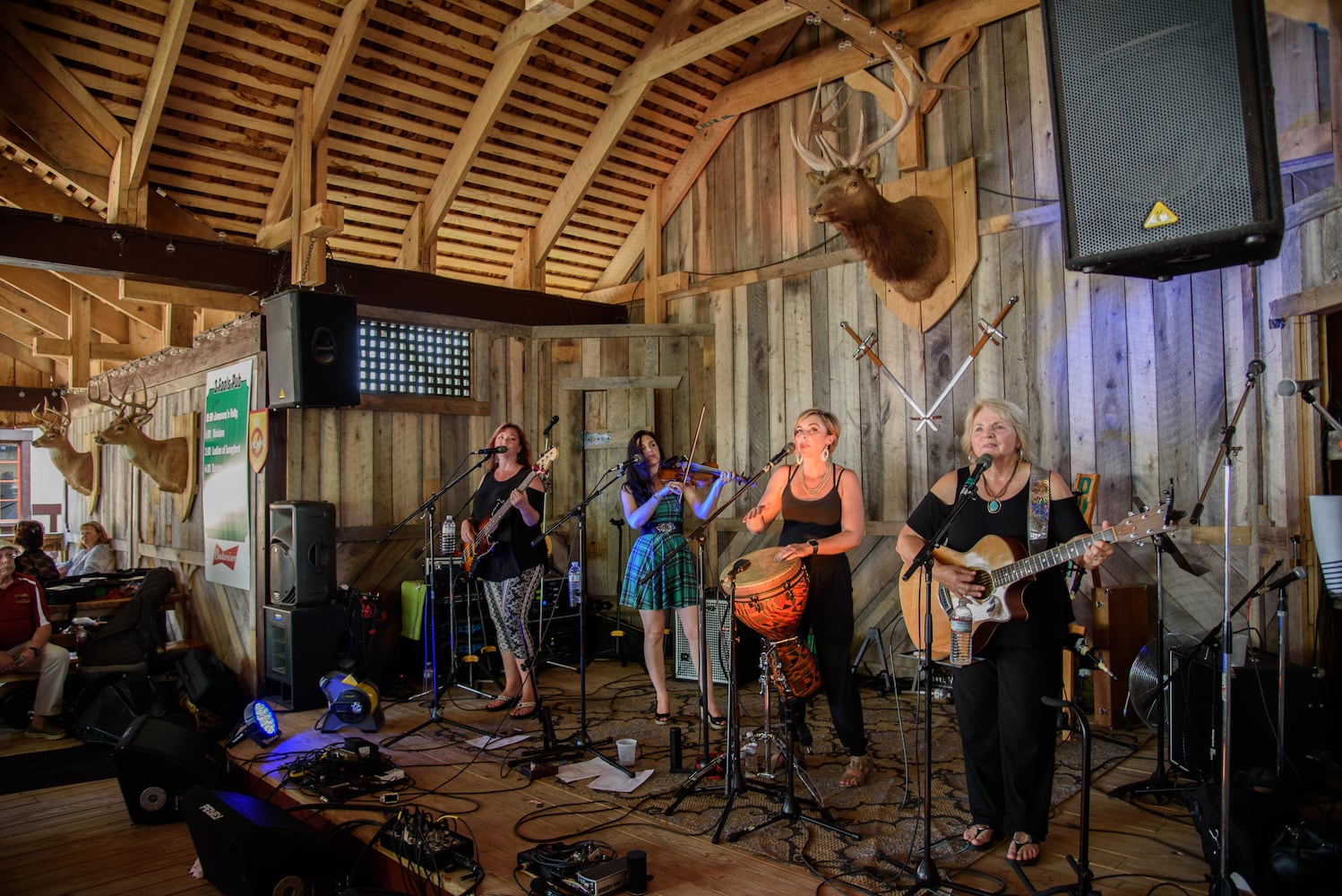 PHOTOS: Did we spot you at Celtic Fest Ohio 2018?