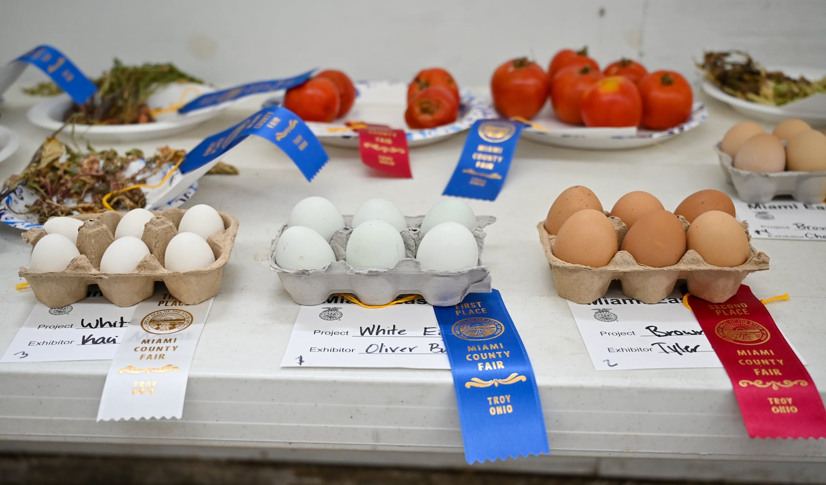 081525 DDN Miami County Fair