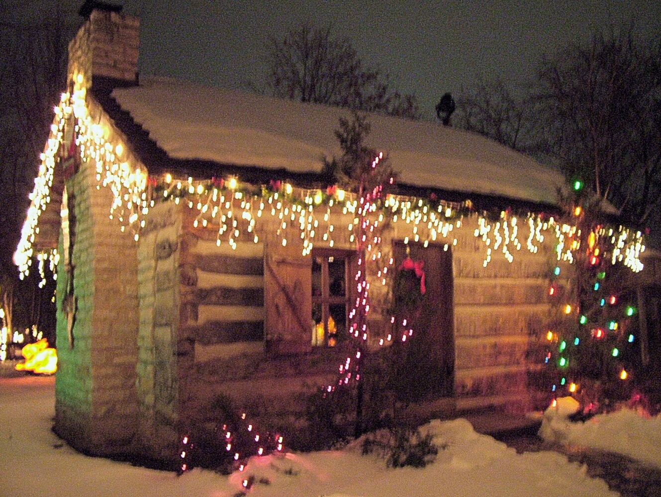 Woodland Lights