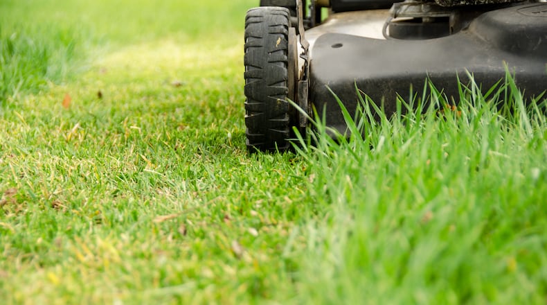 Don’t worry about controlling dandelions and other broadleaf weeds during the colder days of March. The best time to control dandelions is after they finish blooming and are at the puffball or shoe fairy stage. The honeybees can make good use of the blooms, and then you can eliminate them. ISTOCK