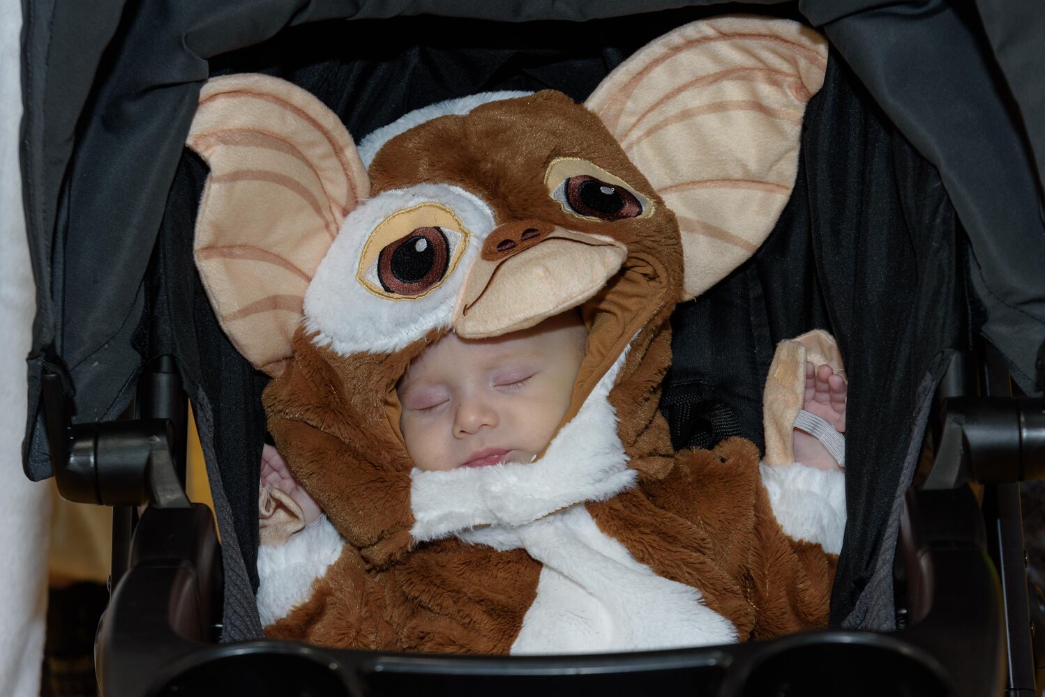 PHOTOS: Did we spot you at the 12th annual Fairborn Halloween Festival?