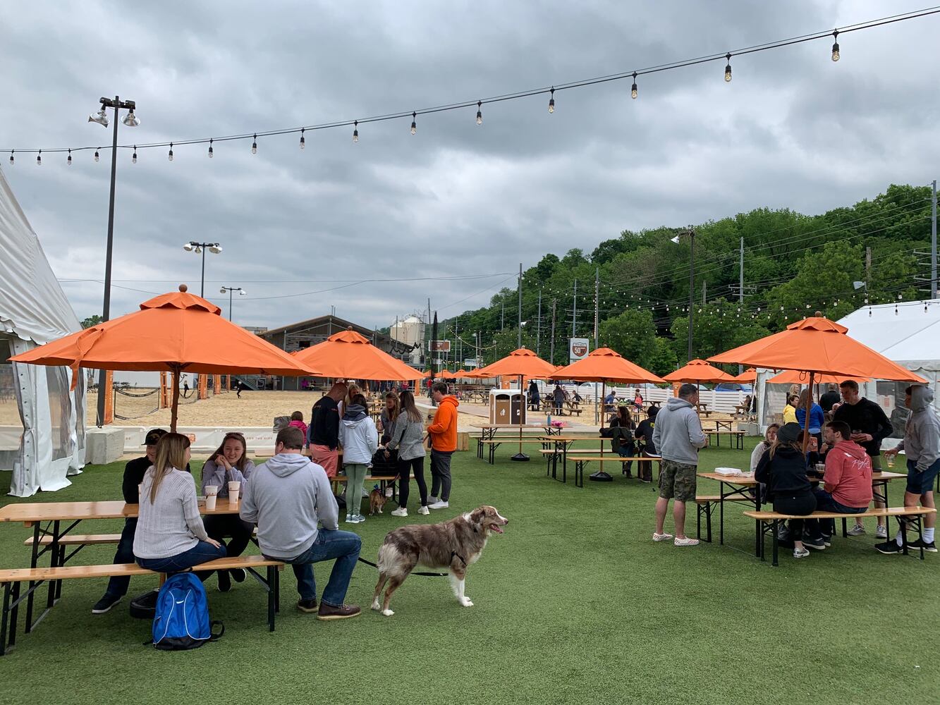 50 West Brewing Company