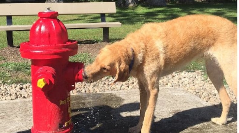 The city of Miamisburg plans to build a dog park, targeting its opening next spring. STAFF PHOTO