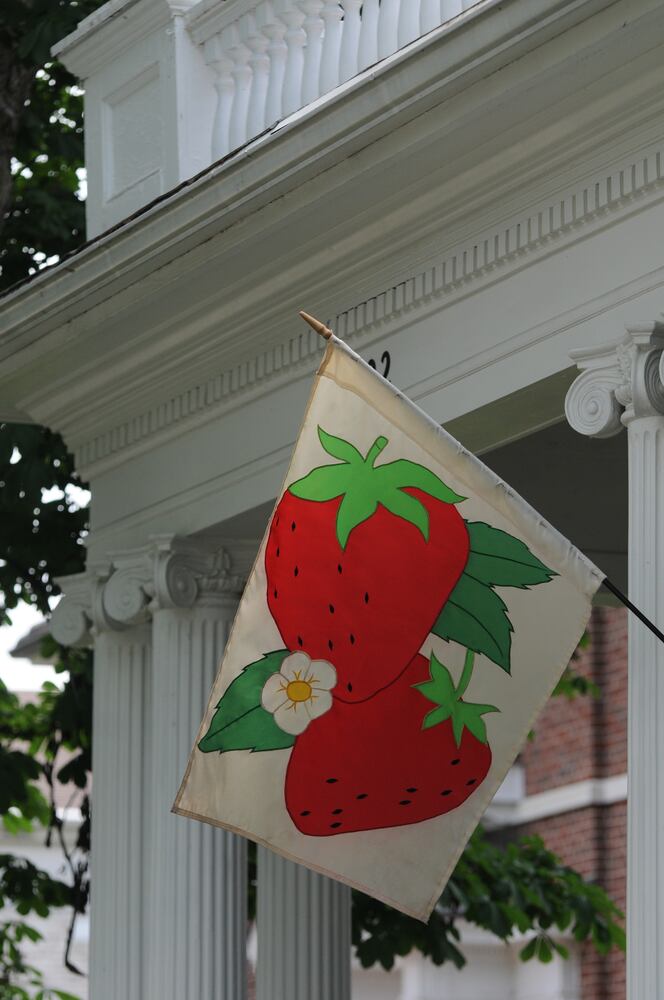 PHOTOS: Did we spot you having a BERRY good time at the Troy Strawberry Festival?