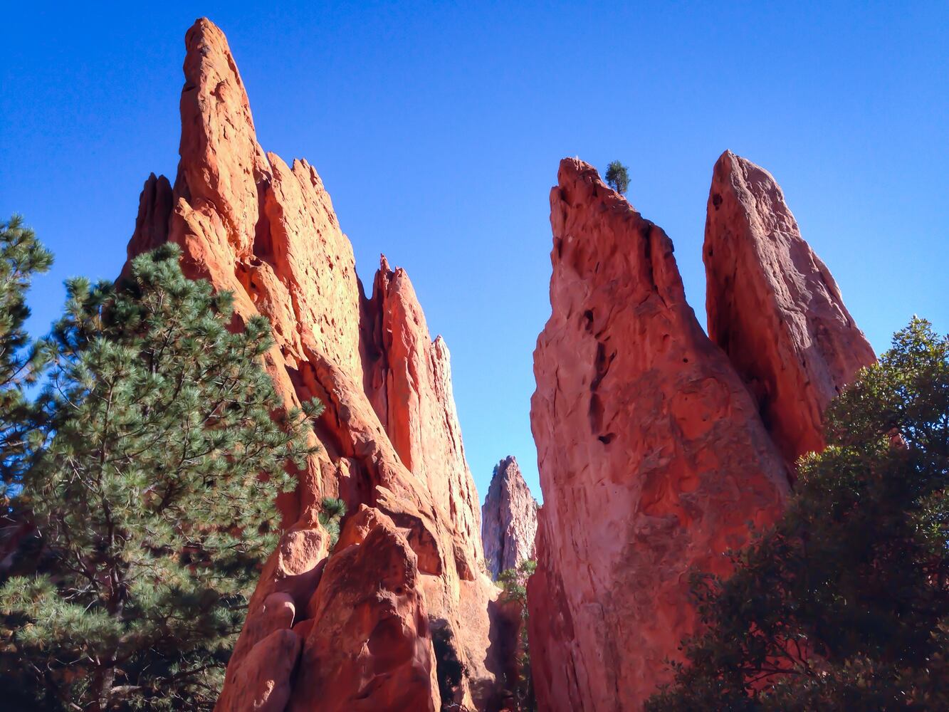 GARDEN OF GODS