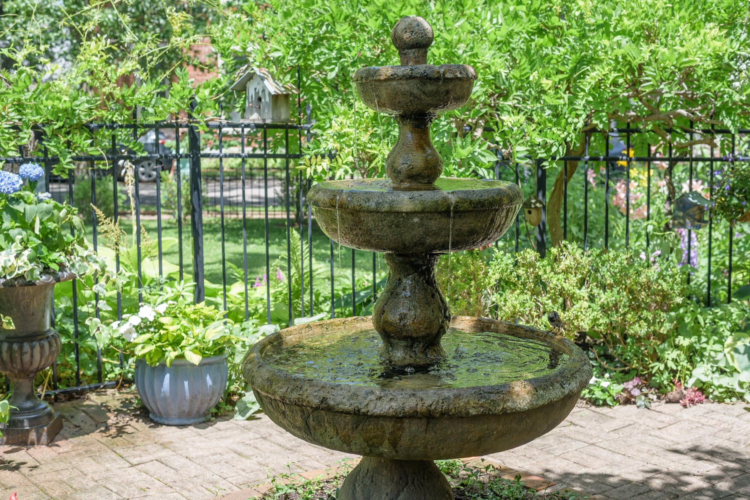 PHOTOS: 2025 Oregon Historic District Garden Tour