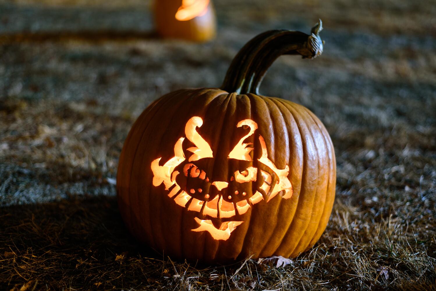 PHOTOS: The Stoddard Avenue Pumpkin Glow