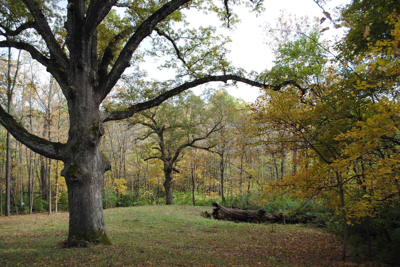 Contributed by MetroParks