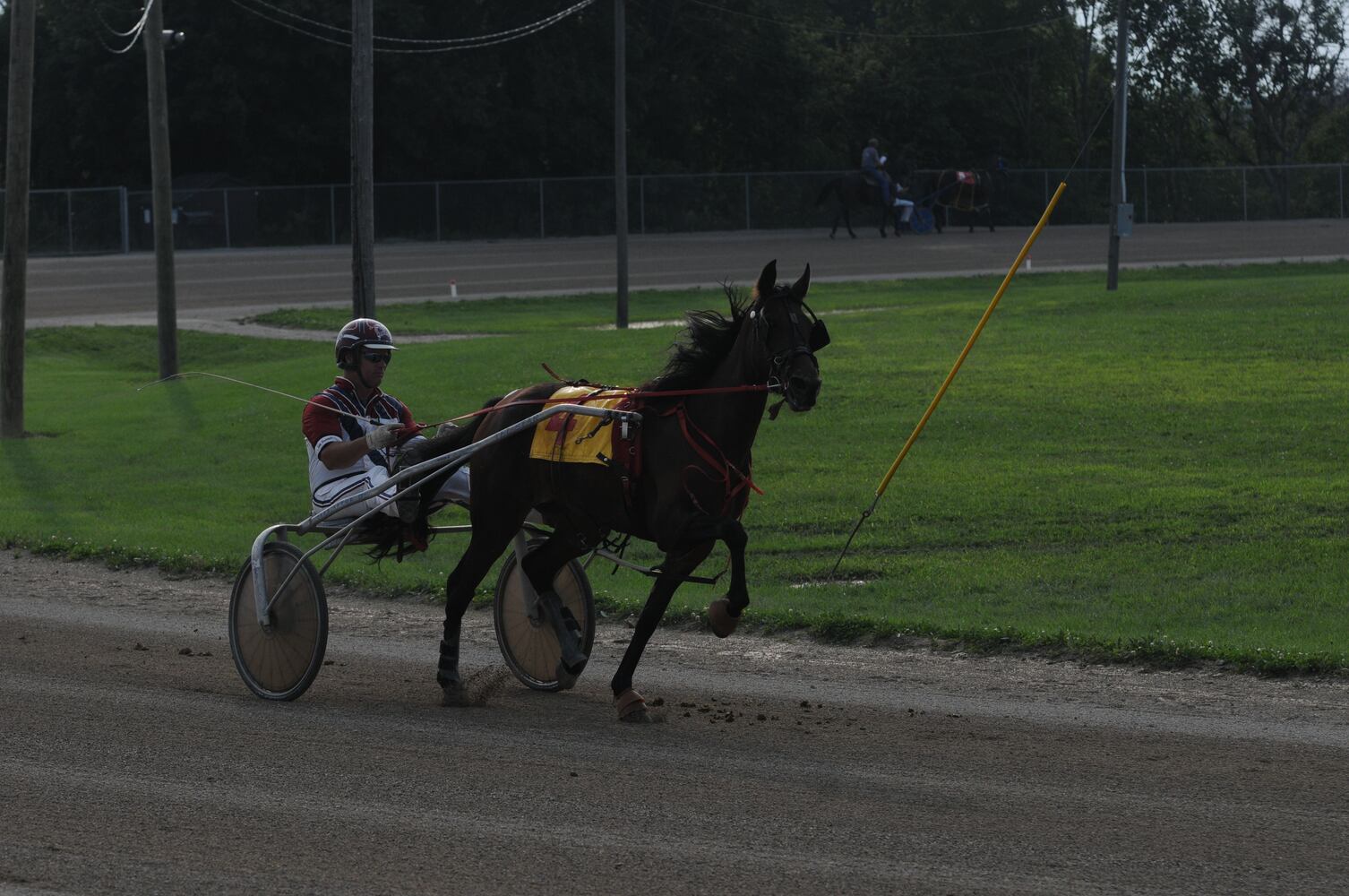 PHOTOS: Did we spot you at the Great Darke County Fair?
