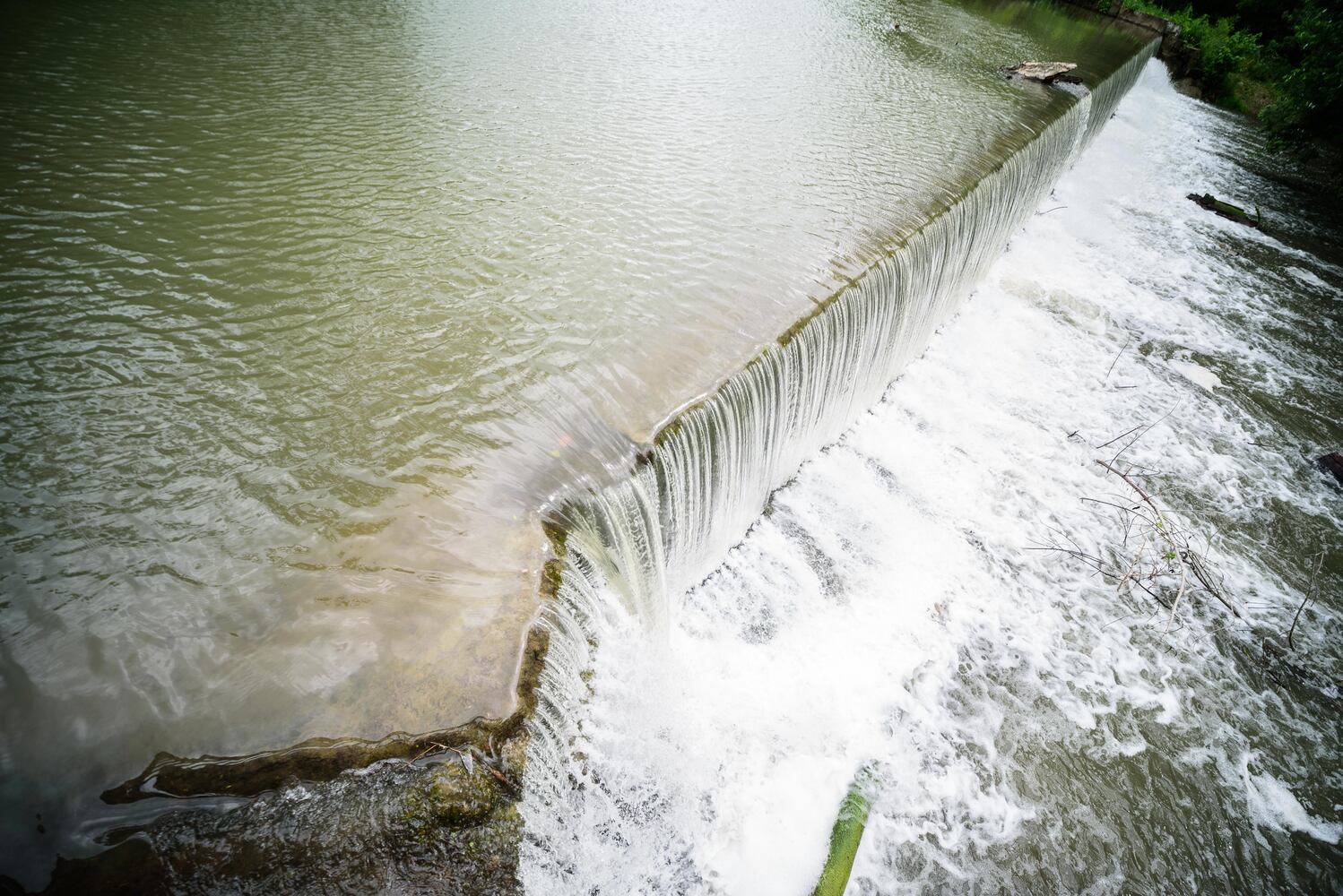 Bear's Mill Greenville