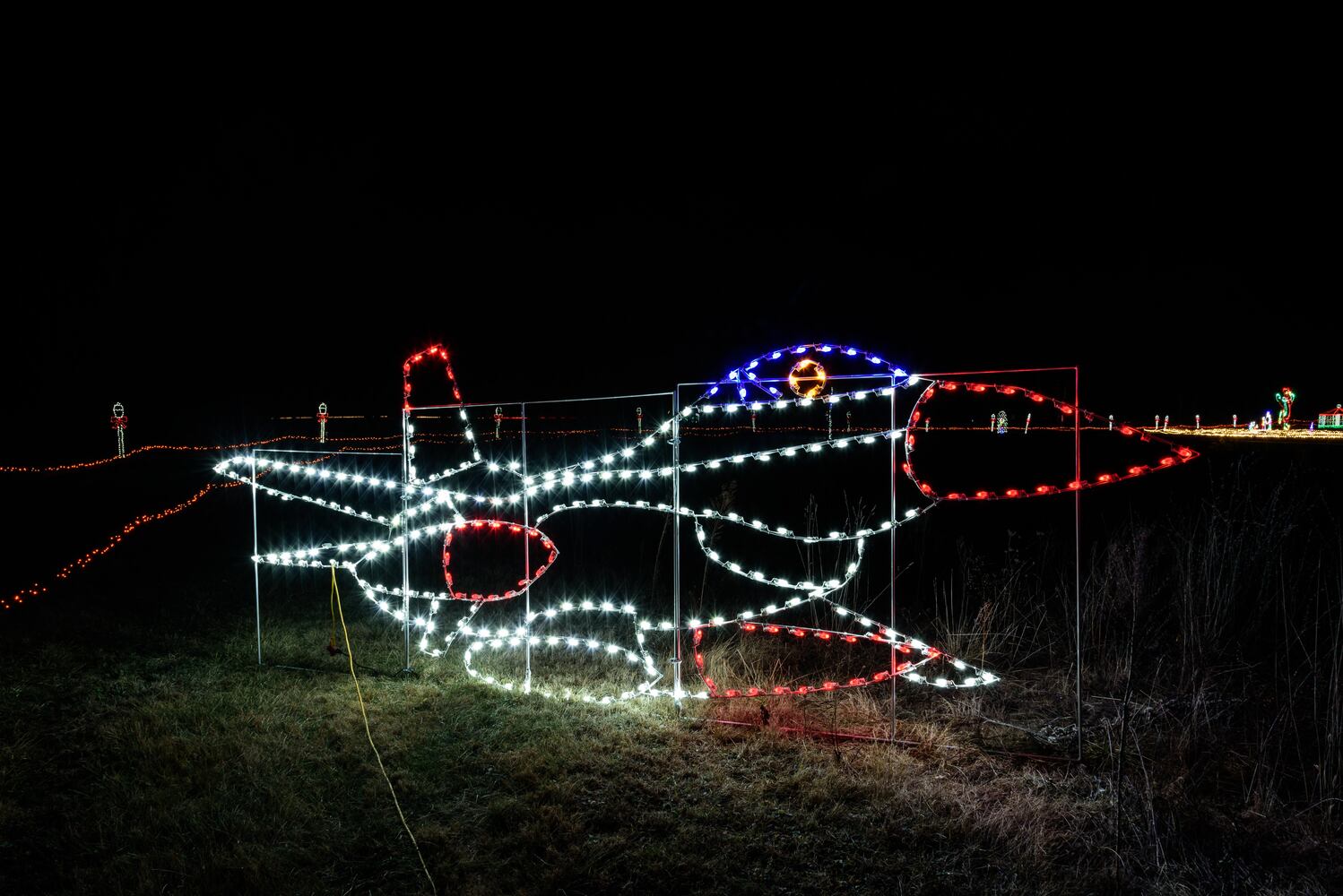 PHOTOS: ParkLights at Caesar Ford Park