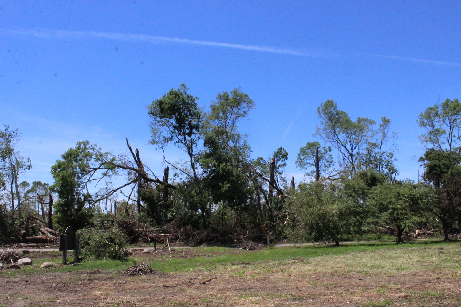 Photos: ‘extraordinary’ damage to parts of  Wegerzyn MetroPark, some parts mostly untouched