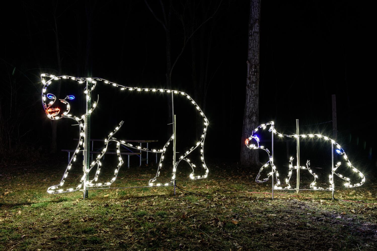 PHOTOS: ParkLights at Caesar Ford Park